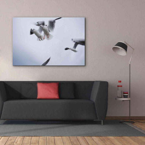 Image of 'Bird Hug' by Epic Portfolio, Giclee Canvas Wall Art,60x40