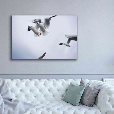 Image of 'Bird Hug' by Epic Portfolio, Giclee Canvas Wall Art,60x40