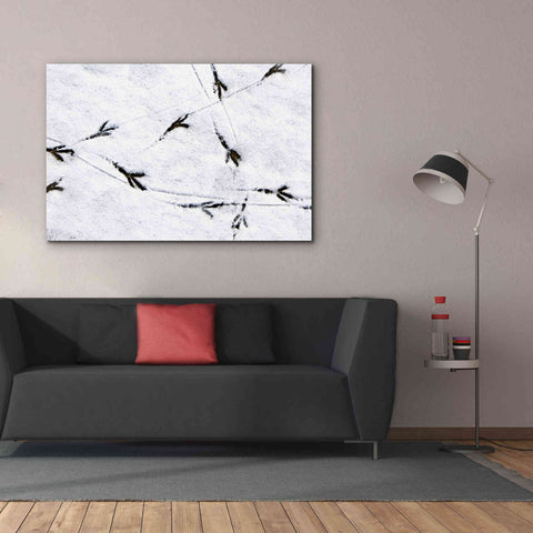 Image of 'Bird's footprints' by Epic Portfolio, Giclee Canvas Wall Art,60x40