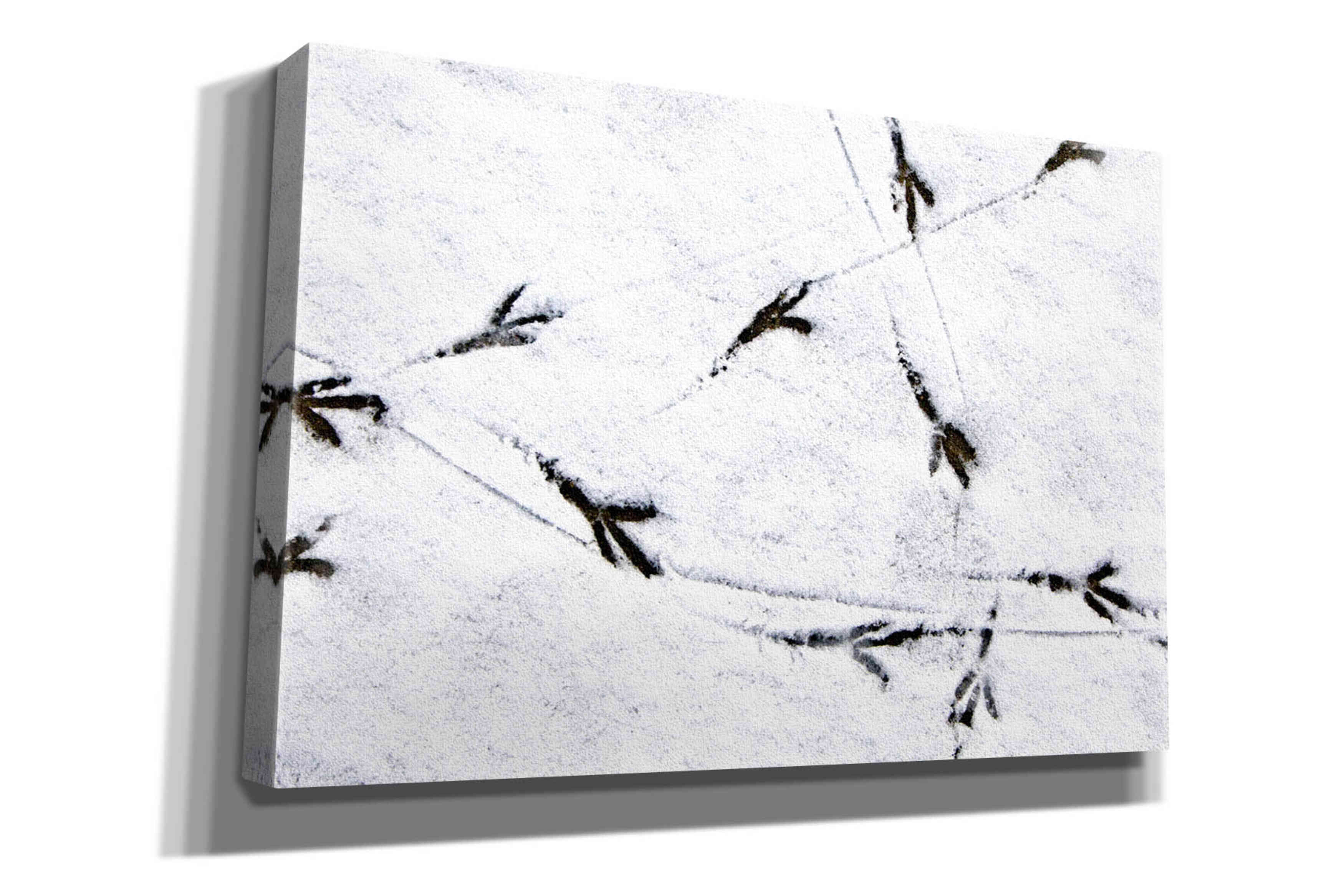 'Bird's footprints' by Epic Portfolio, Giclee Canvas Wall Art