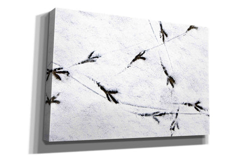 Image of 'Bird's footprints' by Epic Portfolio, Giclee Canvas Wall Art