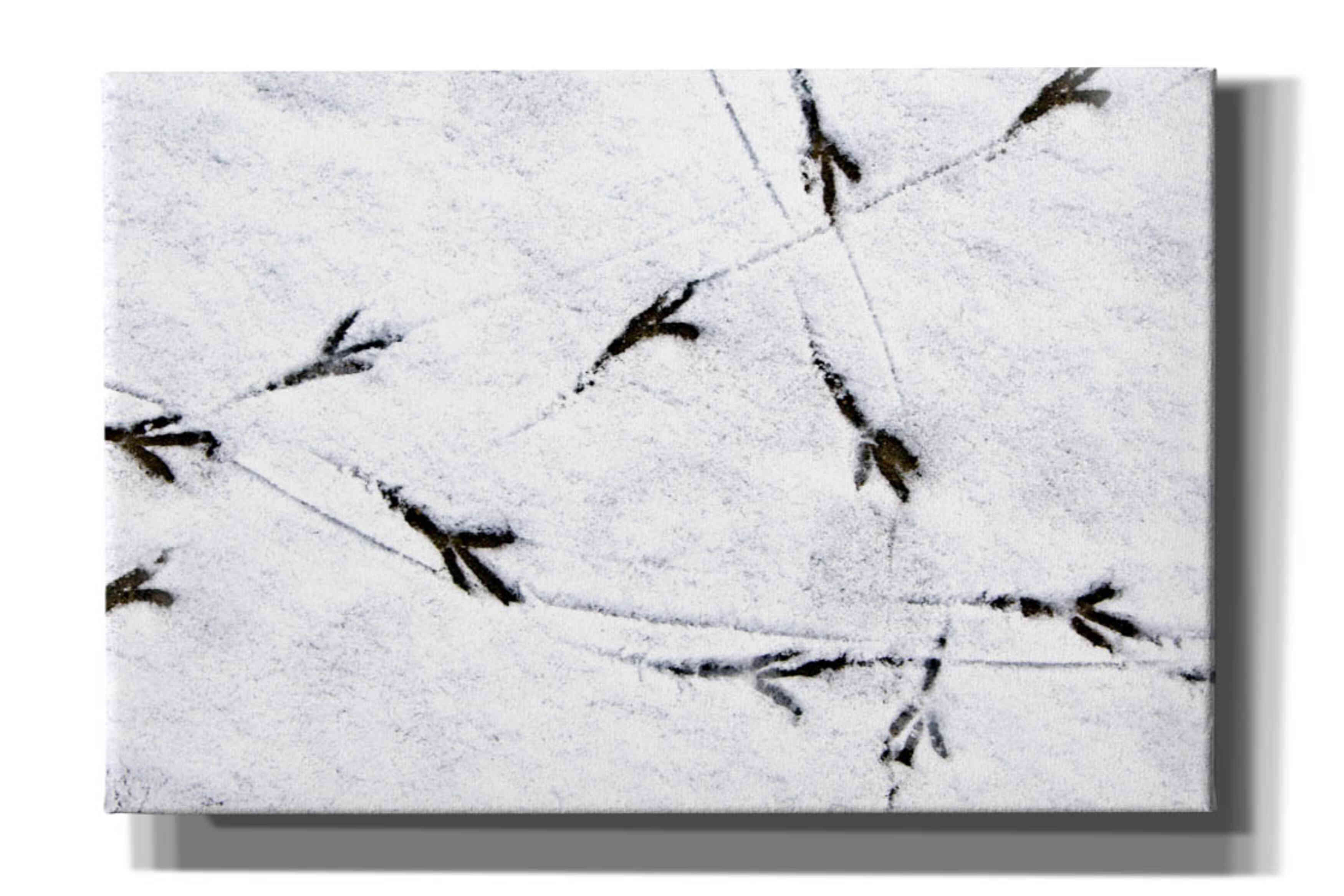 'Bird's footprints' by Epic Portfolio, Giclee Canvas Wall Art