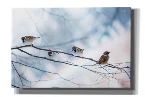 Image of 'Bird Feeders Treehouse' by Epic Portfolio, Giclee Canvas Wall Art