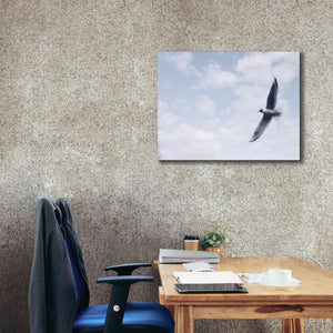 'Sky Cruising' by Epic Portfolio, Giclee Canvas Wall Art,34x26