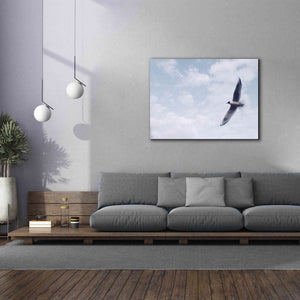 'Sky Cruising' by Epic Portfolio, Giclee Canvas Wall Art,54x40