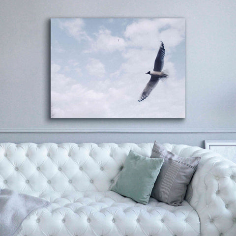 Image of 'Sky Cruising' by Epic Portfolio, Giclee Canvas Wall Art,54x40