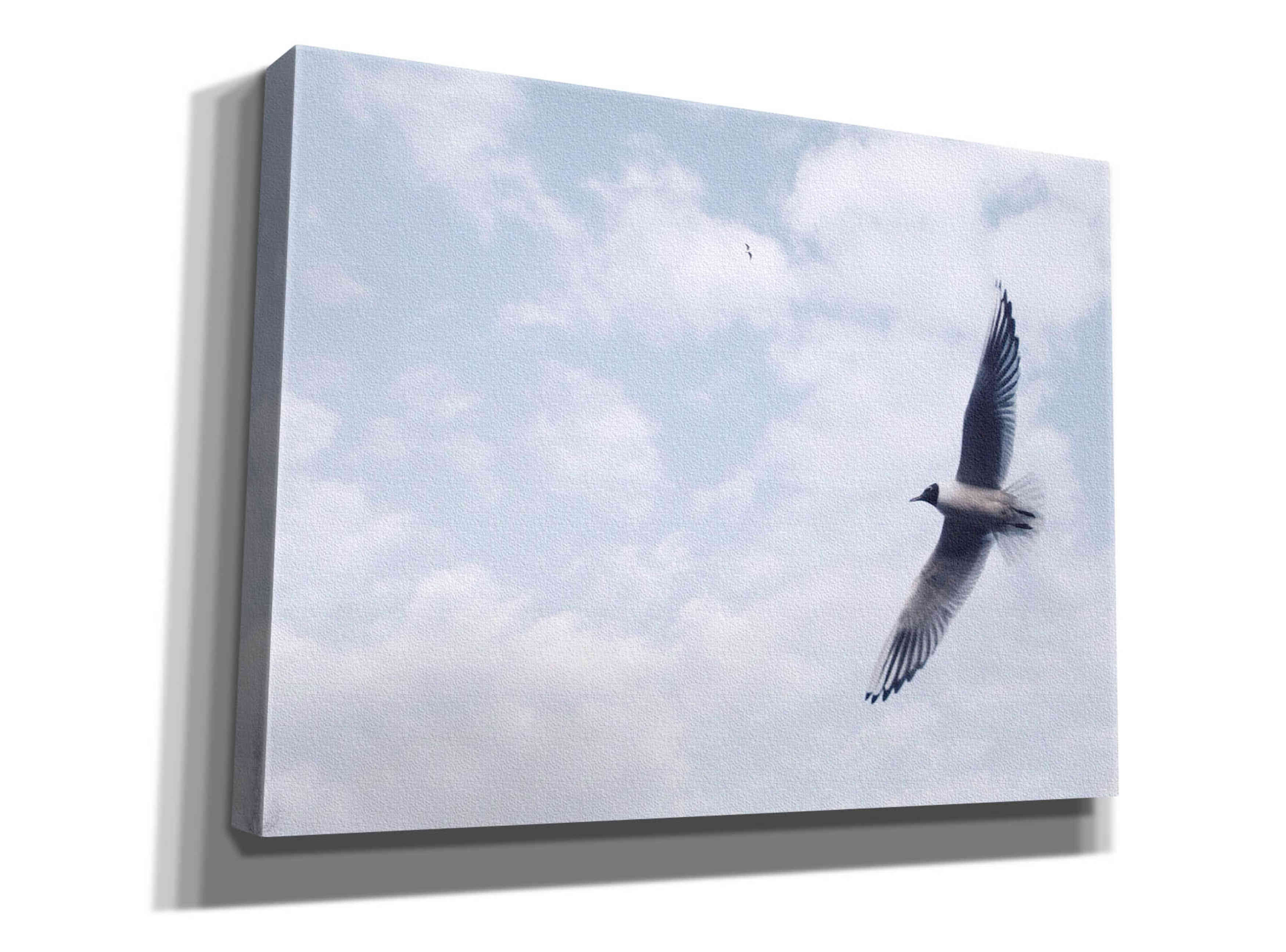 'Sky Cruising' by Epic Portfolio, Giclee Canvas Wall Art