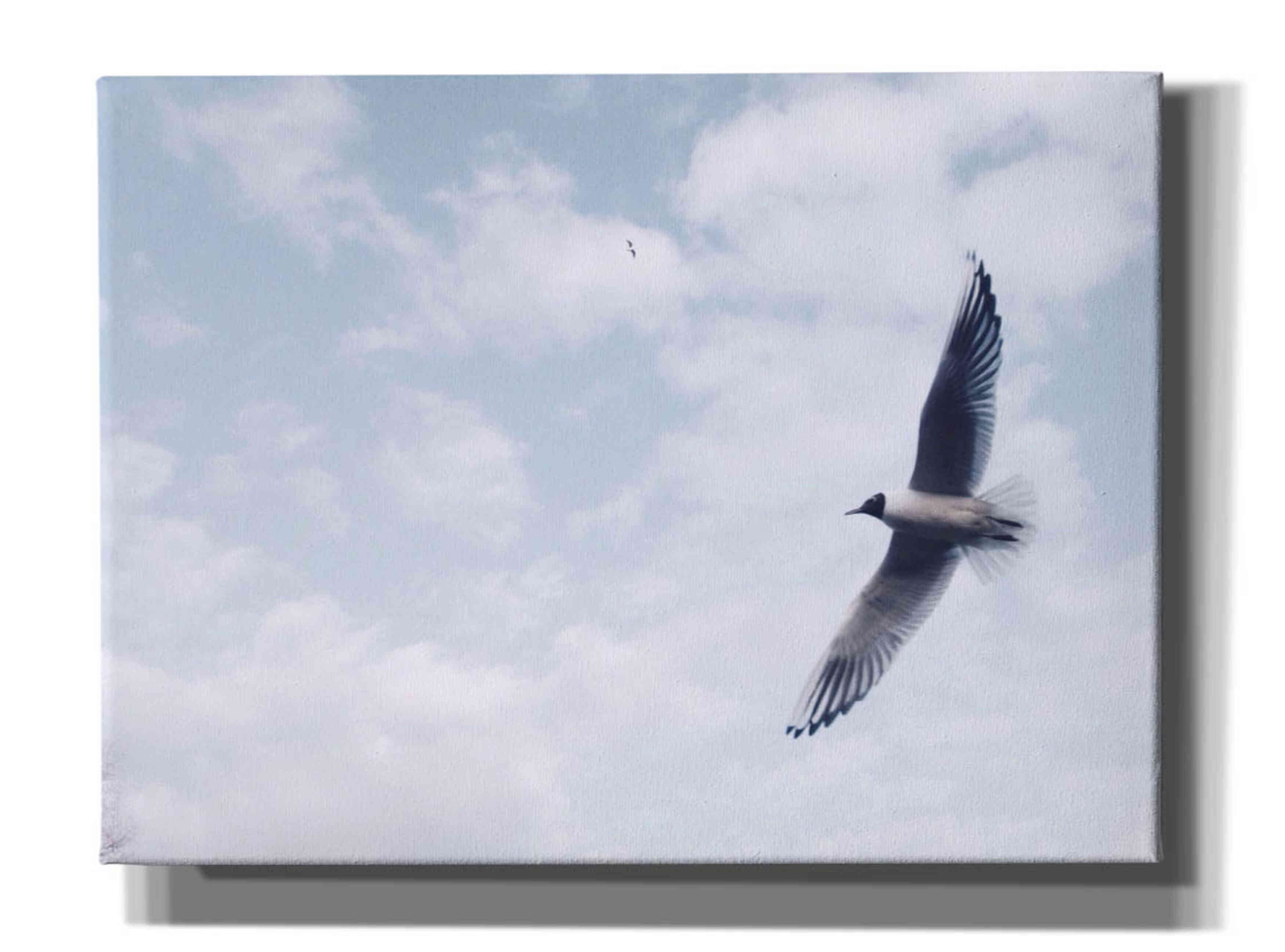 'Sky Cruising' by Epic Portfolio, Giclee Canvas Wall Art