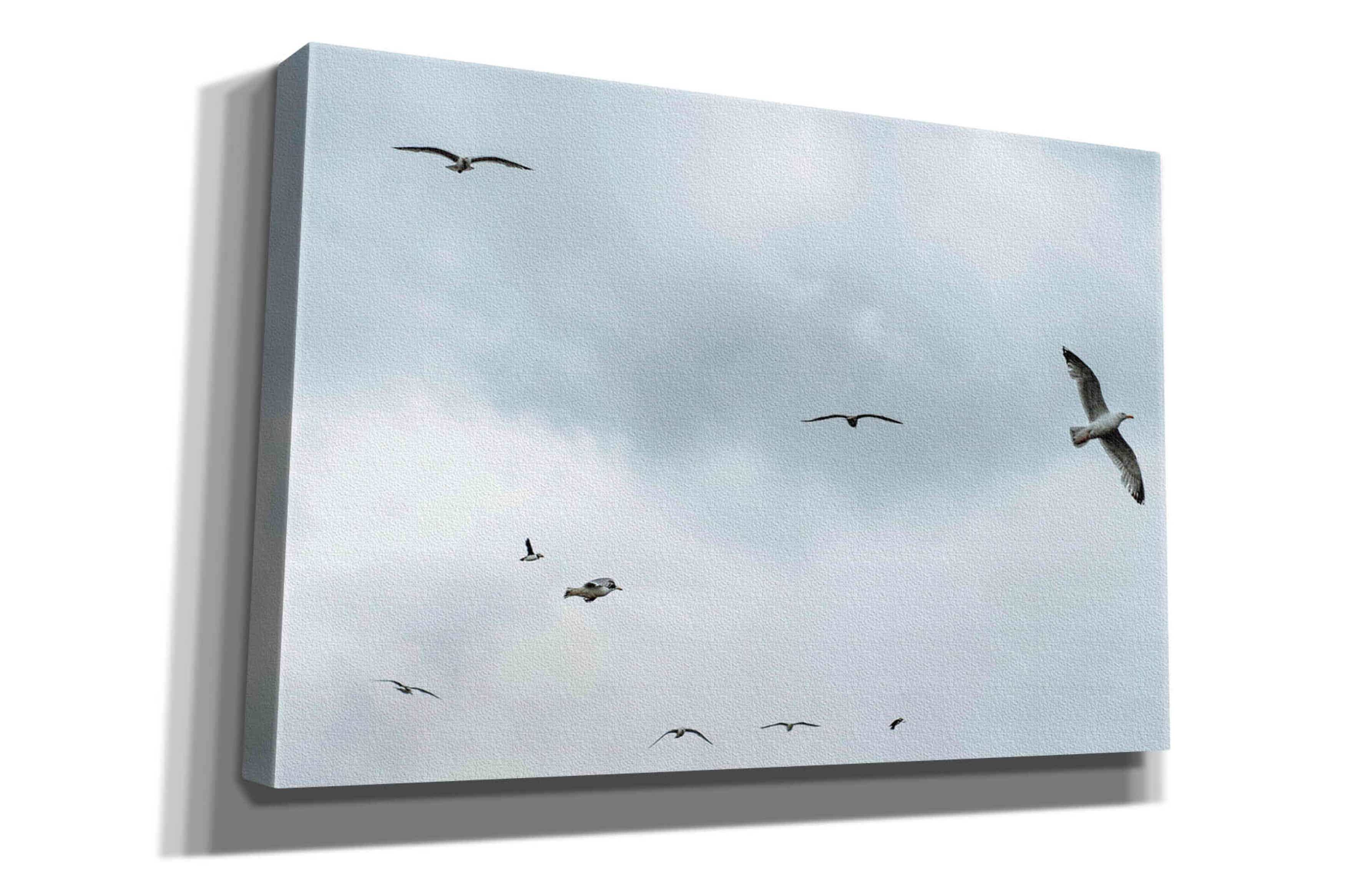 'Sky Patrol' by Epic Portfolio, Giclee Canvas Wall Art