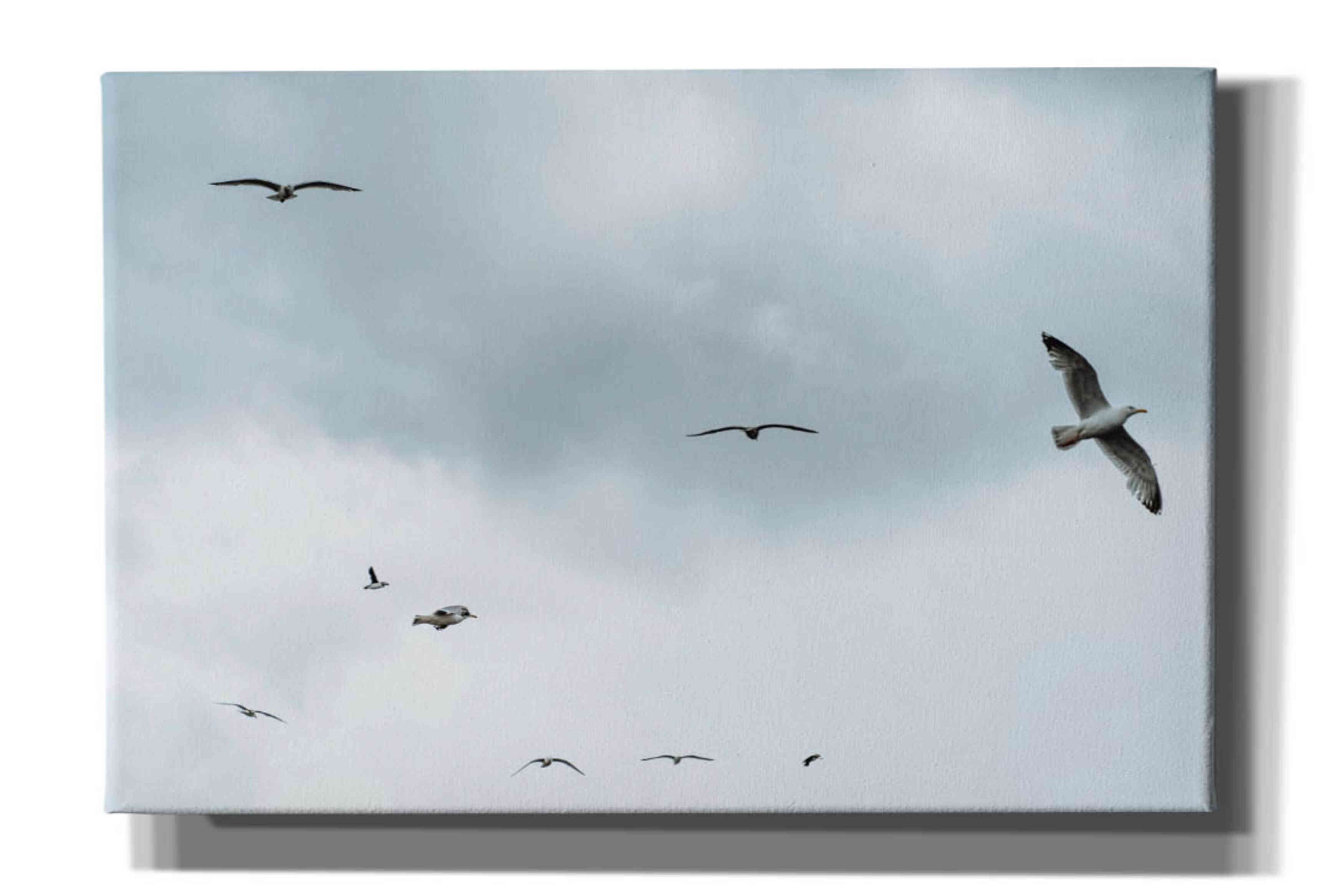 'Sky Patrol' by Epic Portfolio, Giclee Canvas Wall Art