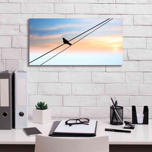 'Sunset Watching' by Epic Portfolio, Giclee Canvas Wall Art,24x12