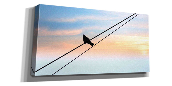 'Sunset Watching' by Epic Portfolio, Giclee Canvas Wall Art