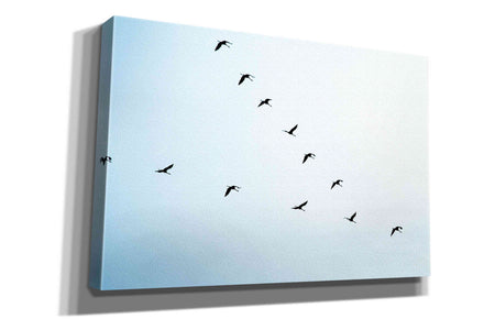 'V Formation' by Epic Portfolio, Giclee Canvas Wall Art