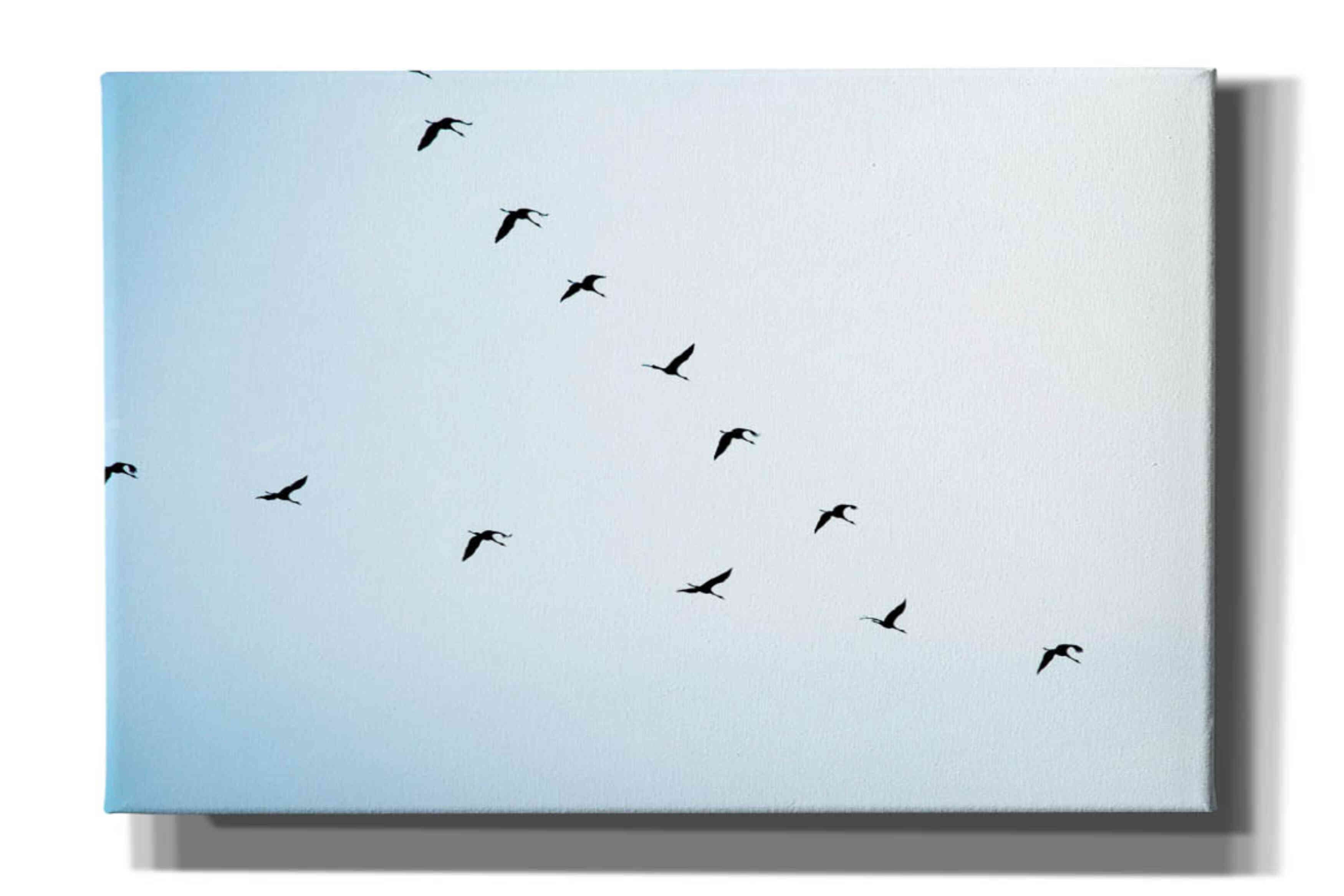 'V Formation' by Epic Portfolio, Giclee Canvas Wall Art
