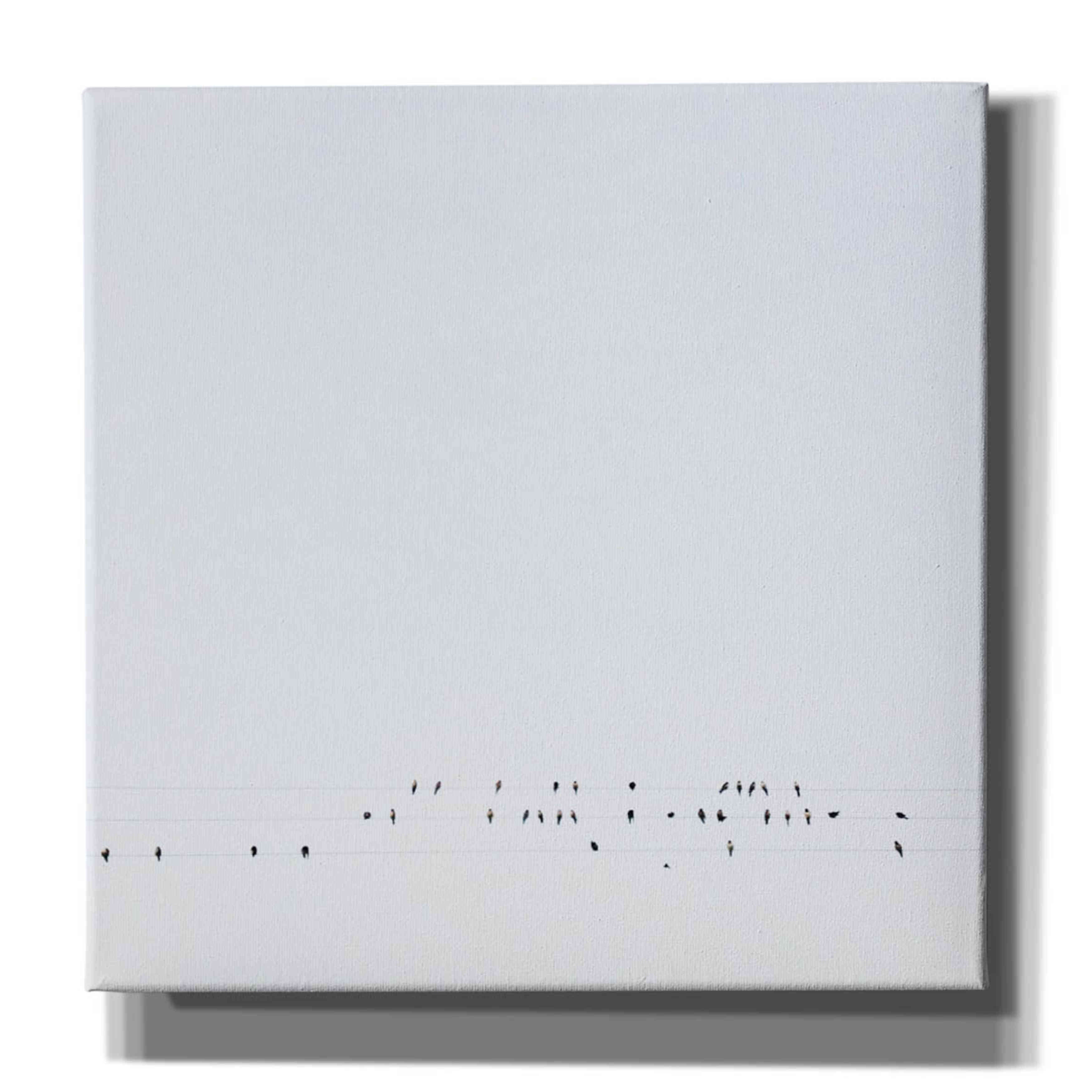 'Winter Sky' by Epic Portfolio, Giclee Canvas Wall Art