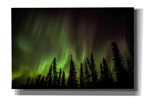 Image of 'Northern Lights 2' by Epic Portfolio, Giclee Canvas Wall Art