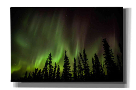 'Northern Lights 2' by Epic Portfolio, Giclee Canvas Wall Art