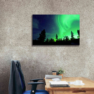 'Northern Lights Aurora Borealis 2' by Epic Portfolio, Giclee Canvas Wall Art,40x26