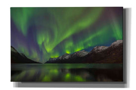 'Northern Lights In Ersfjorden' by Epic Portfolio, Giclee Canvas Wall Art