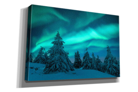 Image of 'Northern Lights In Winter Forest 2' by Epic Portfolio, Giclee Canvas Wall Art