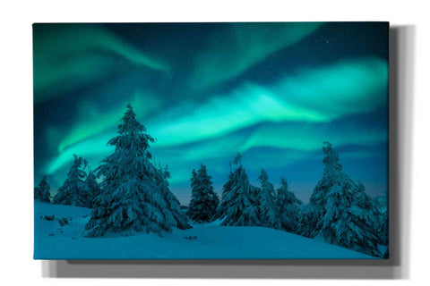 Image of 'Northern Lights In Winter Forest 2' by Epic Portfolio, Giclee Canvas Wall Art