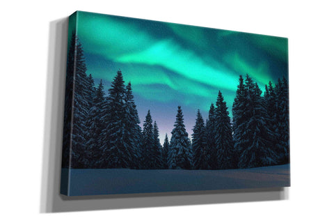 Image of 'Northern Lights In Winter Forest 3' by Epic Portfolio, Giclee Canvas Wall Art