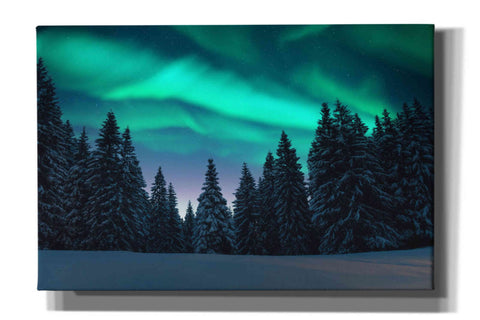 Image of 'Northern Lights In Winter Forest 3' by Epic Portfolio, Giclee Canvas Wall Art