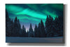 'Northern Lights In Winter Forest 3' by Epic Portfolio, Giclee Canvas Wall Art