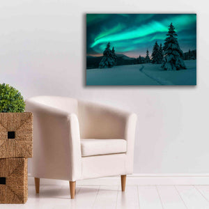 'Northern Lights In Winter Forest 4' by Epic Portfolio, Giclee Canvas Wall Art,40x26