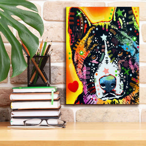 'Akita 1' by Dean Russo, Giclee Canvas Wall Art,12x16
