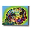 'Beagle' by Dean Russo, Giclee Canvas Wall Art