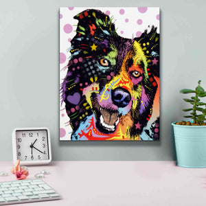 'Border Collie 1' by Dean Russo, Giclee Canvas Wall Art,12x16