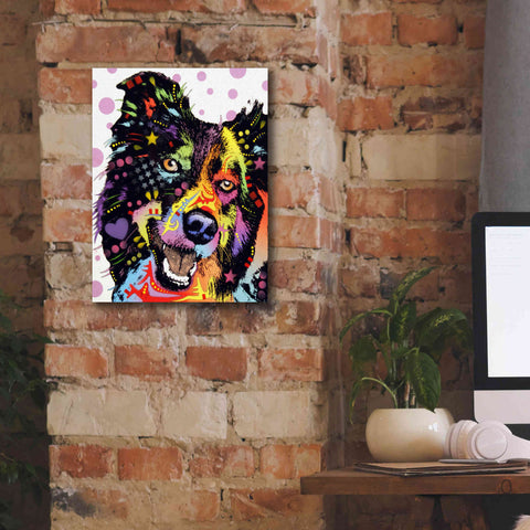 Image of 'Border Collie 1' by Dean Russo, Giclee Canvas Wall Art,12x16