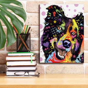 'Border Collie 1' by Dean Russo, Giclee Canvas Wall Art,12x16