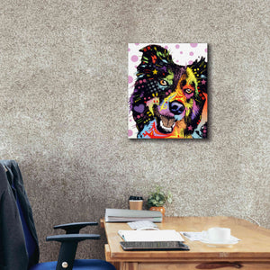 'Border Collie 1' by Dean Russo, Giclee Canvas Wall Art,20x24