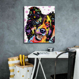 'Border Collie 1' by Dean Russo, Giclee Canvas Wall Art,20x24