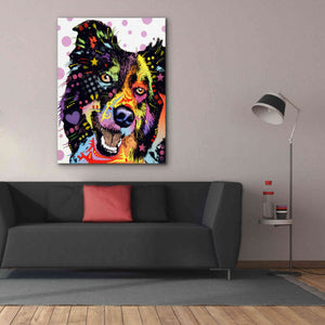 'Border Collie 1' by Dean Russo, Giclee Canvas Wall Art,40x54