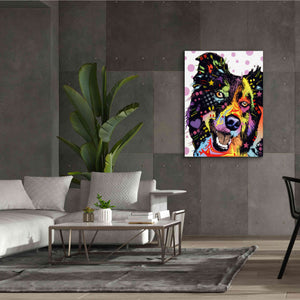 'Border Collie 1' by Dean Russo, Giclee Canvas Wall Art,40x54