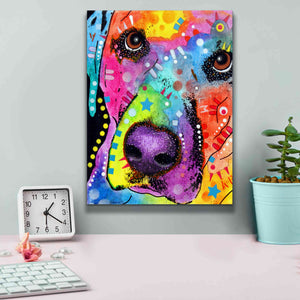 'Closeup Labrador' by Dean Russo, Giclee Canvas Wall Art,12x16