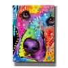 'Closeup Labrador' by Dean Russo, Giclee Canvas Wall Art