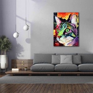 'Curiosity Cat' by Dean Russo, Giclee Canvas Wall Art,40x54