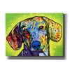 'Dachshund' by Dean Russo, Giclee Canvas Wall Art