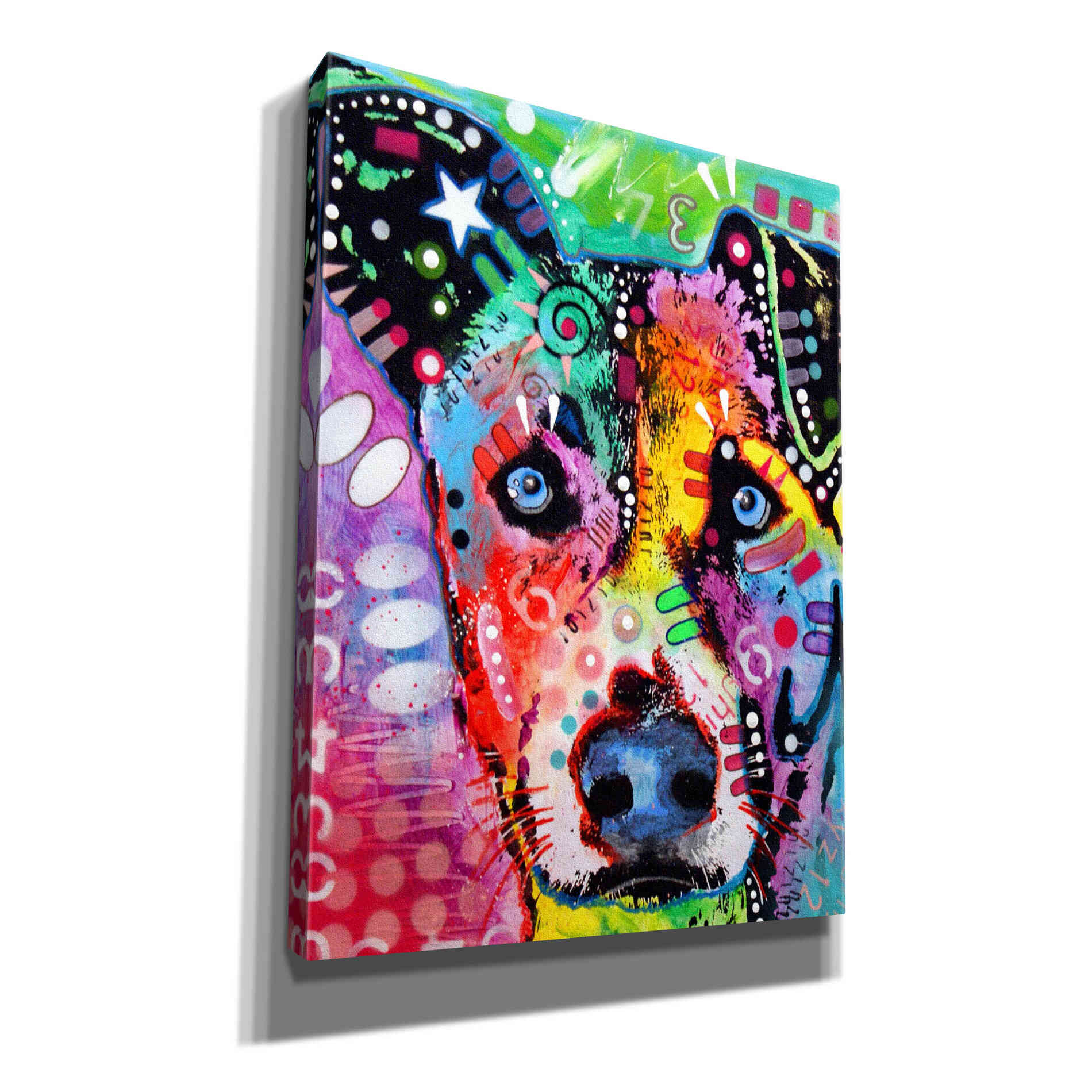 'Flipped' by Dean Russo, Giclee Canvas Wall Art