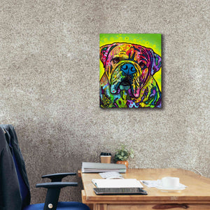 'Hey Bulldog' by Dean Russo, Giclee Canvas Wall Art,20x24