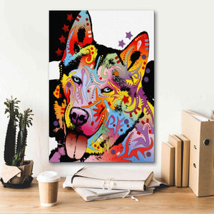 'Siberian Husky 1' by Dean Russo, Giclee Canvas Wall Art,18x26