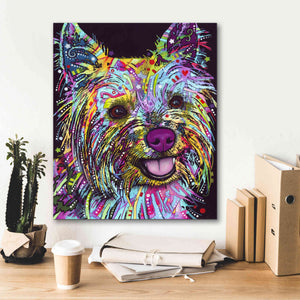 'Yorkie 1' by Dean Russo, Giclee Canvas Wall Art,20x24