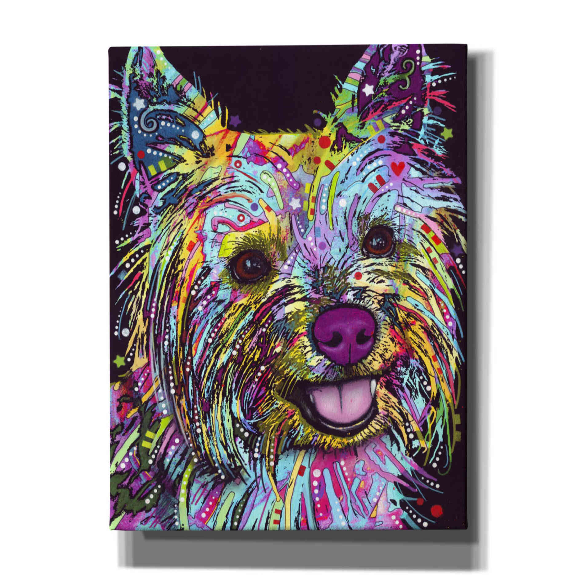 'Yorkie 1' by Dean Russo, Giclee Canvas Wall Art