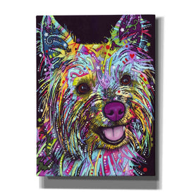 'Yorkie 1' by Dean Russo, Giclee Canvas Wall Art