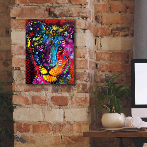 Image of 'Young Lion' by Dean Russo, Giclee Canvas Wall Art,12x16