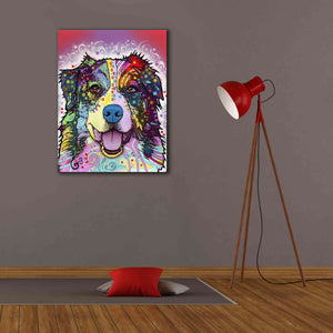 'Australian Shepherd' by Dean Russo, Giclee Canvas Wall Art,26x34